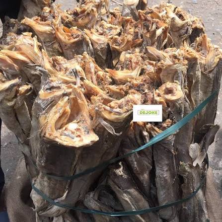 Okporoko (Stockfish)